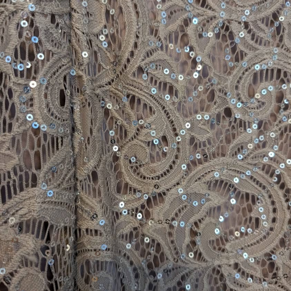 Elegant Silver Evening Gown with Sheer Overlay - Picture 5 of 6